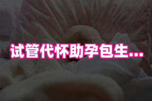 点点助孕网 1