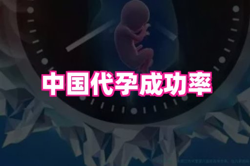 点点助孕网 3