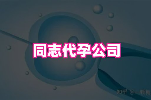 点点助孕网 4